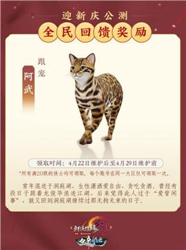 天龙八部私服梦幻网络
